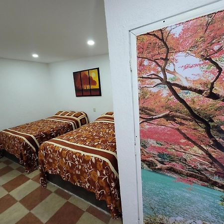 Hotel Vicalis San Juan Teotihuacán المظهر الخارجي الصورة