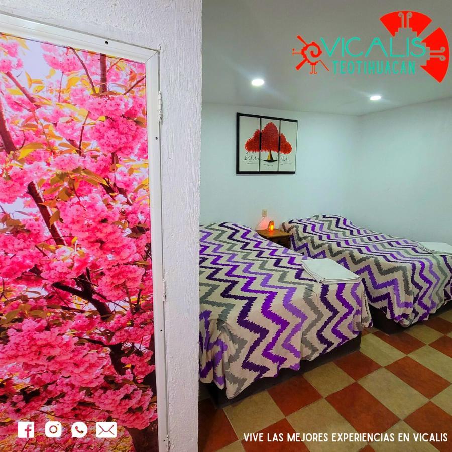 Hotel Vicalis San Juan Teotihuacán المظهر الخارجي الصورة