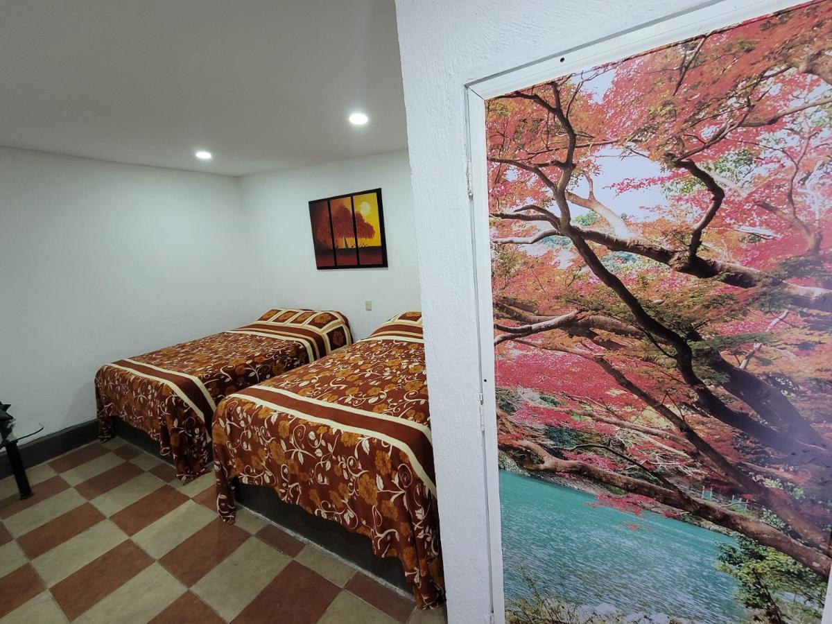 Hotel Vicalis San Juan Teotihuacán المظهر الخارجي الصورة