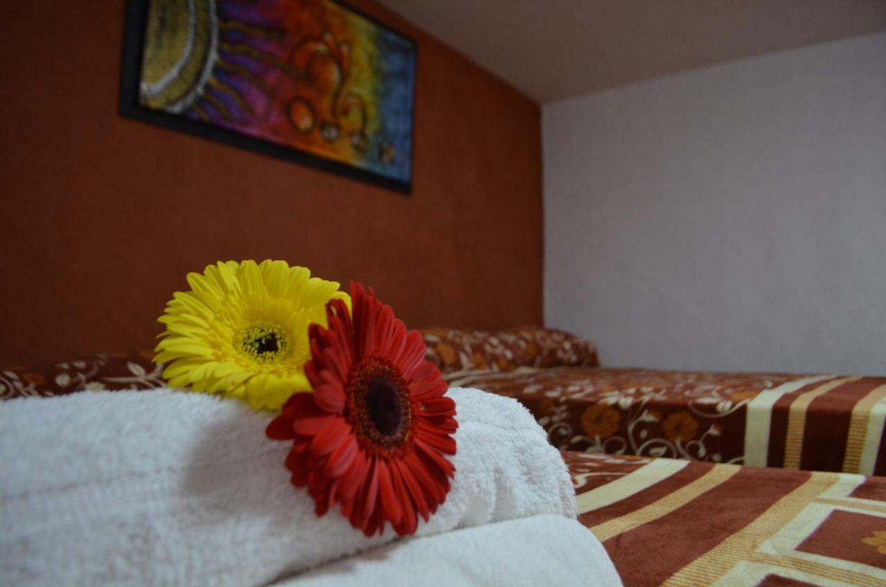 Hotel Vicalis San Juan Teotihuacán المظهر الخارجي الصورة